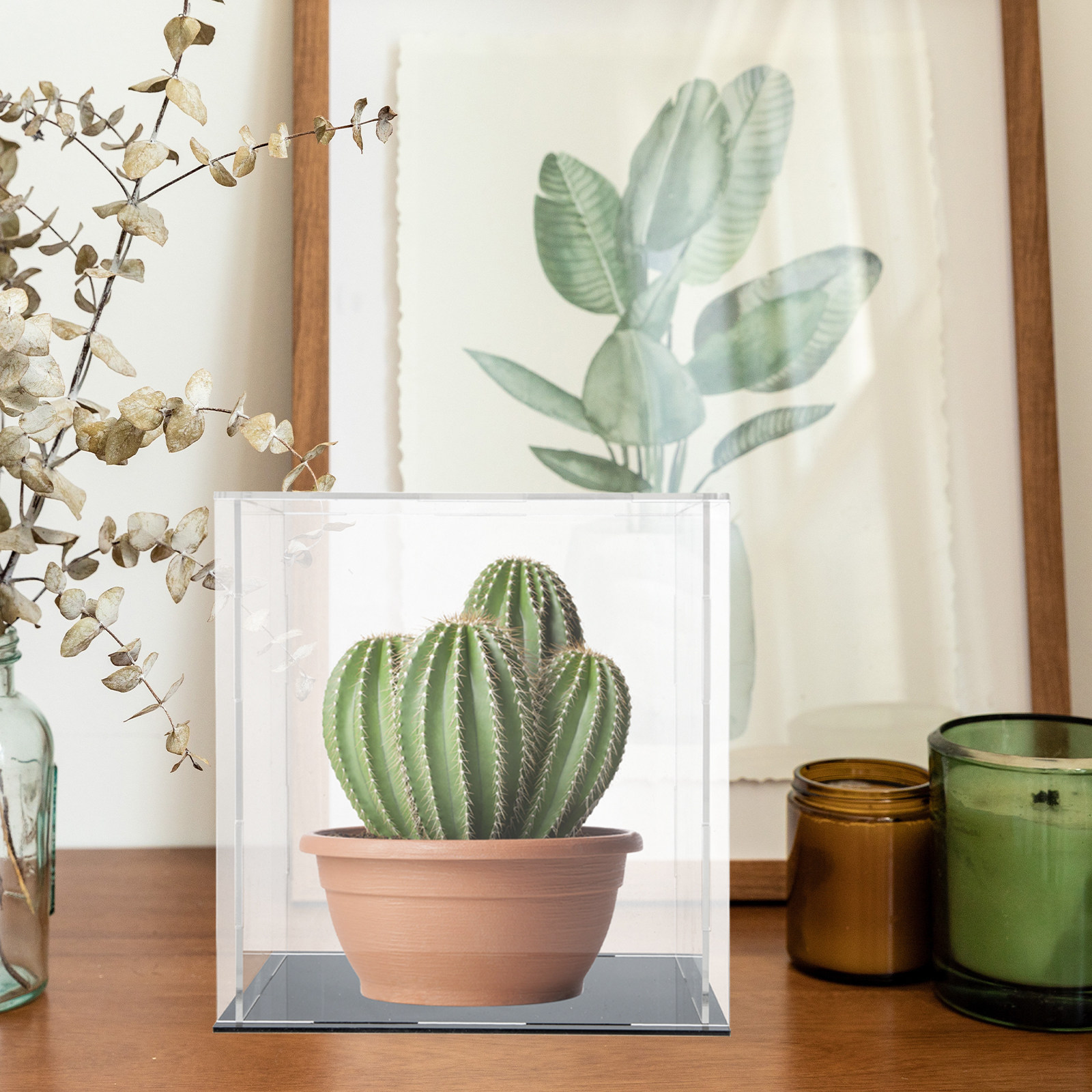 アクリル製透明ディスプレイケース、整理ボックス、卓上スタンド - Display Case Acrylic のレビューと価格