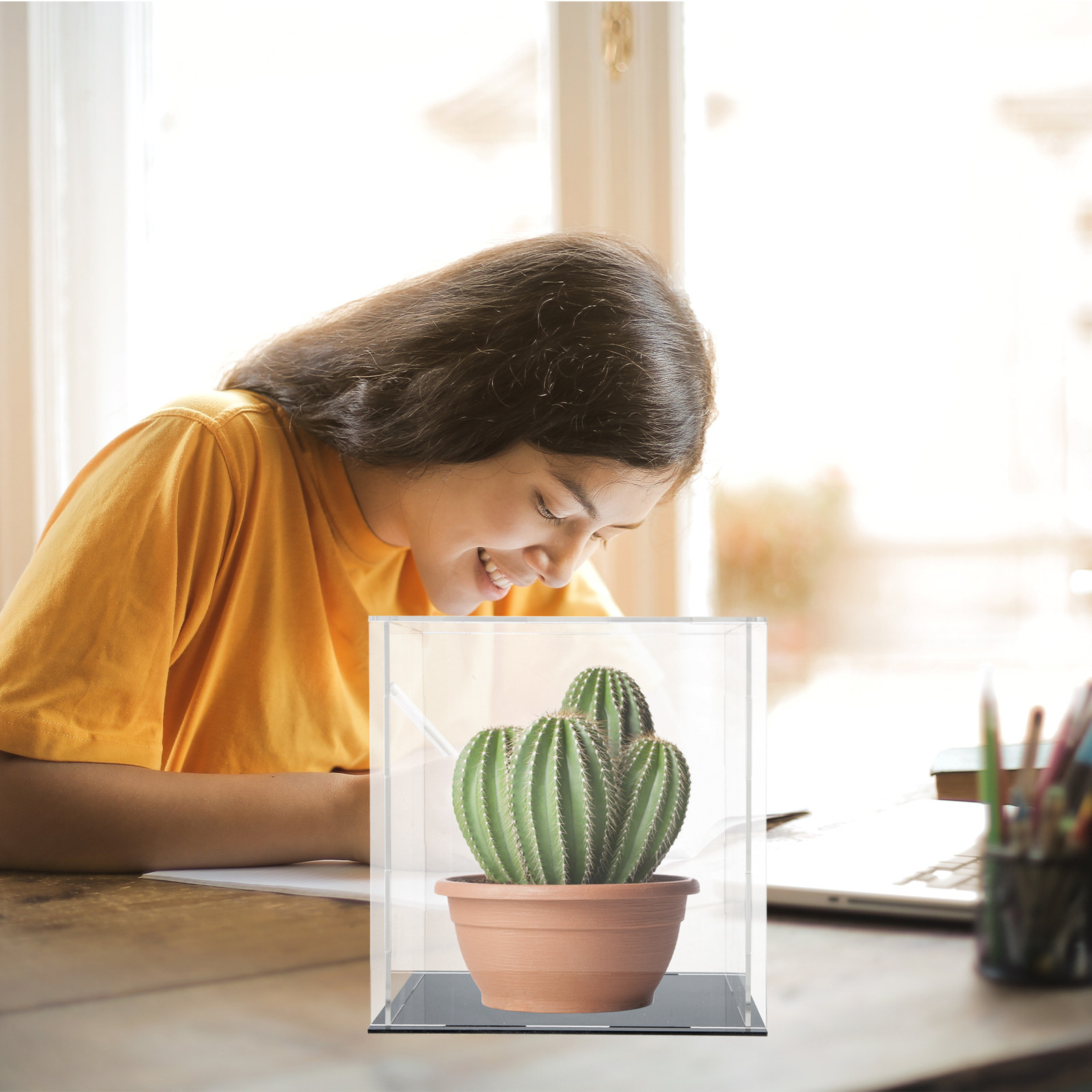 アクリル製透明ディスプレイケース、整理ボックス、卓上スタンド - Display Case Acrylic のレビューと価格